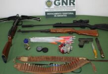 Abrantes | Homem de 22 anos arguido por posse ilegal de armas