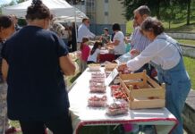 Tagus | Mercado da Primavera na Encosta da Barata