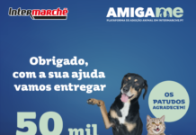 Intermarché angaria 50 mil refeições para animais com campanha “Amiga-me”