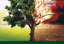 Torres Novas |Torreshopping sensibiliza a comunidade local para os incêndios florestais e apoia Bombeiros