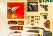 Golegã | Apreensão de armas em contexto de violência doméstica