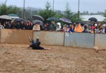 Carnaval da Linhaceira acaba com porcalhada e baile (FOTOS)