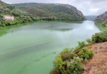 Mais de 70 organizações reivindicam 15 medidas pelos rios e pela água aos partidos políticos