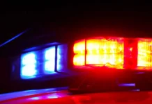 Quatro homens fazem-se passar por polícias e roubam carrinha na A23