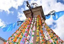 Constância | Milhares de flores nas ruas nas Festas do Concelho 2024