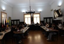Entroncamento | Assembleia Municipal Jovem promove valores de cidadania e participação ativa na política local