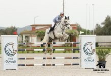 GOLEGÃ | PRIMEIRO TESP DE TURISMO EQUESTRE APROVADO VAI SER MINISTRADO