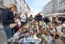 Feira para todos no Entroncamento
