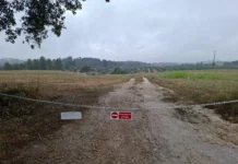 Aldeias de Torres Novas contestam corte de “caminhos milenares”