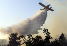 Fogo em Castelo Branco mobiliza centenas de bombeiros e meios aéreos