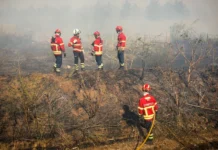 Castelo Branco: Incêndio em fase de vigilância