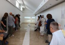 Entroncamento: Galeria Municipal acolhe a Instalação “Eucalyptus Globulus”