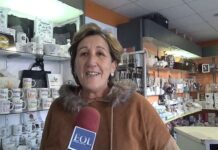 Paula Carloto é a nova diretora do Centro Distrital da Segurança Social de Santarém