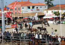 Golegã: Feira Nacional do Cavalo 2024 com data marcada