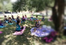 Entroncamento: mais um fim-de-semana de yoga do programa “Verão Ativo