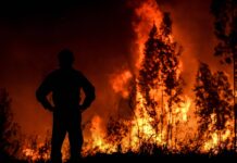 Incêndios: Condições meteorológicas obrigam Ministérios a manter medidas preventivas de caráter excecional