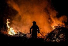 Bombeiros do Entroncamento na frente de combate aos incêndios que assolam o país