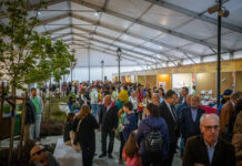 Abrantes: XXII Feira de Doçaria Tradicional no último fim de semana de outubro