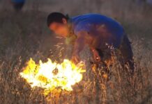 Sete detenções por crime de incêndio florestal entre 14 e 17 de setembro