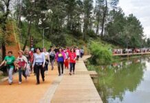 Época do Centro Municipal de Marcha e Corrida do Entroncamento prestes a começar