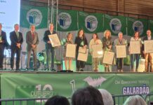 Entroncamento: seis escolas do concelho distinguidas com Bandeira Verde Eco-Escolas