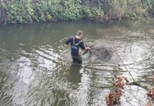 Golegã: Serviço da Proteção da Natureza e do Ambiente apreende meios ilegais de pesca no rio Almonda