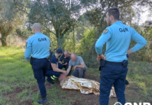 Tomar: Idoso desaparecido desde domingo encontrado ontem