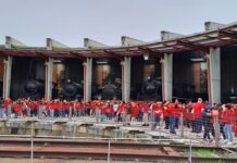 Entroncamento: Dia Internacional das Cidades Educadoras assinalado com entrega de livros e gravação de vídeo no MNF