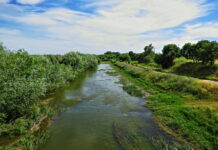 Golegã quer construir açude amovível no rio Almonda