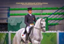 Golegã recebe Concurso de Dressage Internacional em 2025