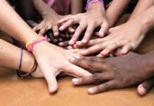 Município do Entroncamento e CERE avançam com protocolo para instalação de Banco de Voluntariado