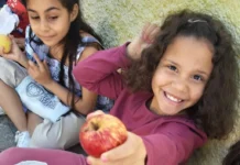 Crianças do distrito de Santarém mais saudáveis: “Heróis da Fruta” aumentam ingestão de lanches escolares mais nutritivos em 26%