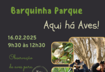 VN Barquinha: Observação de aves no parque ribeirinho