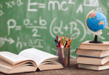 Município do Entroncamento executa atividades previstas no Plano Municipal Educativo