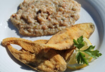 VN Barquinha: XXXI Mês do Sável e da Lampreia