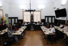 Entroncamento: Assembleia Municipal Jovem promove valores de cidadania e participação ativa na política local