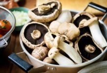 Chamusca: Um fim de semana gastronómico e cultural dedicado ao cogumelo na Parreira