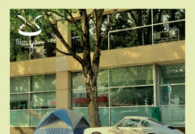 Torres Novas: Grupo de Teatro Juvenil do Virgínia estreia «Tulpa»