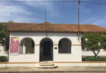 Golegã: Oficina “Onde estarão os lagartos verdes?” na Azinhaga