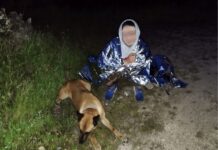 Chamusca: Rapaz de 11 anos desaparecido localizado com sucesso por binómio da GNR