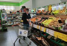 Região: Rotary Clube do Entroncamento apoiou nove famílias da região