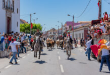 Semana da Ascensão está de regresso ao Concelho da Chamusca: Ascensão é na Chamusca