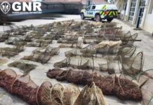 Golegã: Apreensão de 90 nassas de pesca em área de proteção