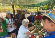 Entroncamento: Junta de Freguesia de N.ª Senhora de Fátima festejou o dia da Espiga no Bonito