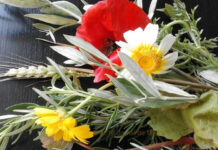 Golegã: Fundação José Saramago celebra dia da Espiga