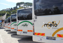 Médio Tejo: Chegou a nova assinatura de linha MEIO, um valor único, um só MEIO