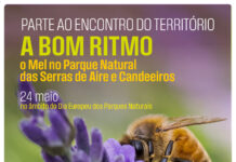 Torres Novas: Parte ao Encontro do Território – A Bom Ritmo | O mel no Parque Natural das Serras de Aire e Candeeiros