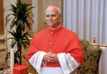 Norte-americano Robert F. Prevost é o novo Papa, uma escolha meio inesperada que desafia o “status quo” político