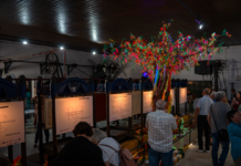 Chamusca: Oficina Colaborativa acolhe mostra artística criada pela comunidade local