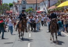 Chamusca: Na quinta-feira de Ascensão cumpriu-se a tradicional Entrada dos Toiros (C/Vídeo)